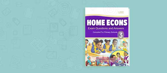 Free Home Economics Exam Questions and Answers for Primary 3