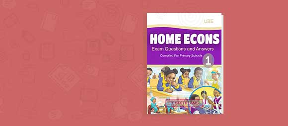 Free Primary 1 Home Economics Exam Questions and Answers