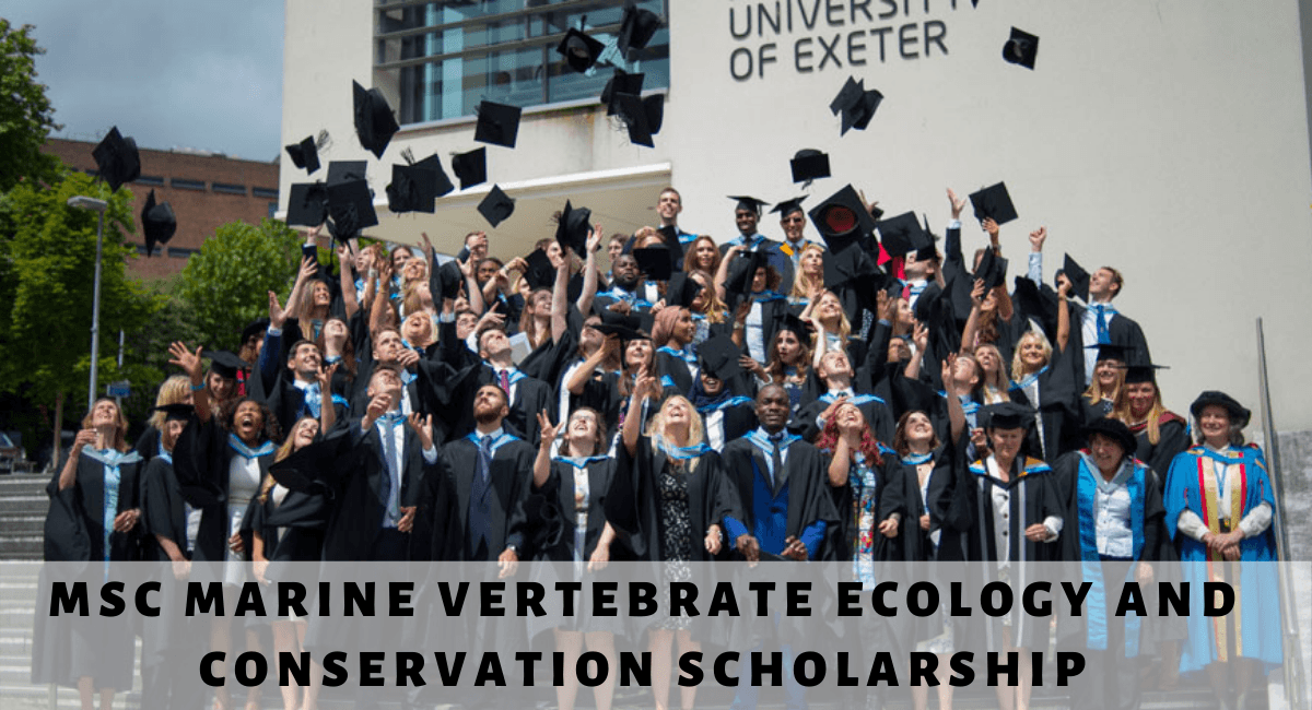 MSc Marine Vertebrate Ecology and Conservation Scholarship