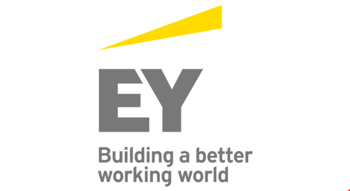 Audit Senior at Ernst & Young (EY) January, 2020