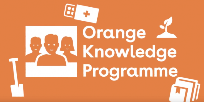 Nuffic Orange Knowledge Programme (OKP) Media Training Scholarships 2021/2022 for study in The Netherlands