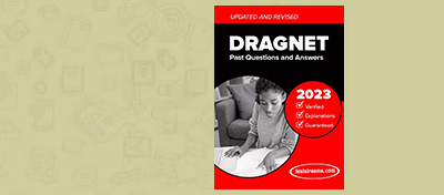 HOW TO PASS DRAGNET APTITUDE TEST 2023