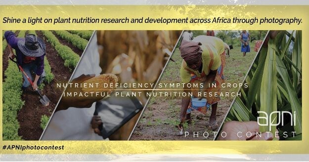 African Plant Nutrition Institute (APNI) Photo Contest 2023