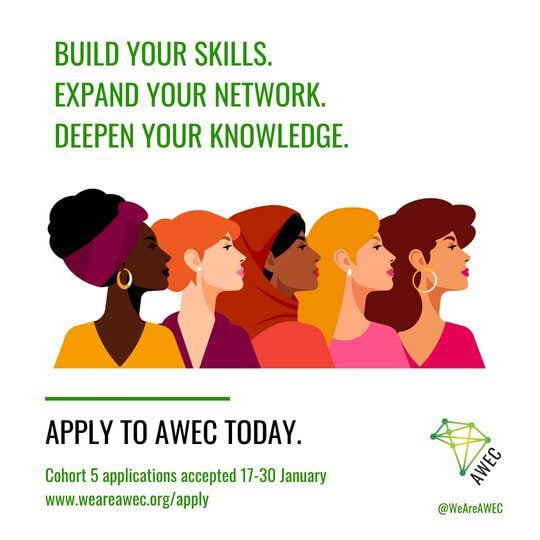 African Women Entrepreneurship Cooperative (AWEC) Programme 2023 for African Female Business Owners (Cohort 6)