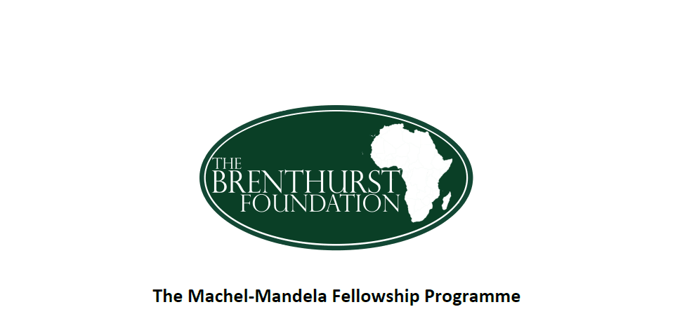 The Brenthurst Foundation Machel-Mandela Internship Programme 2023 for young graduates