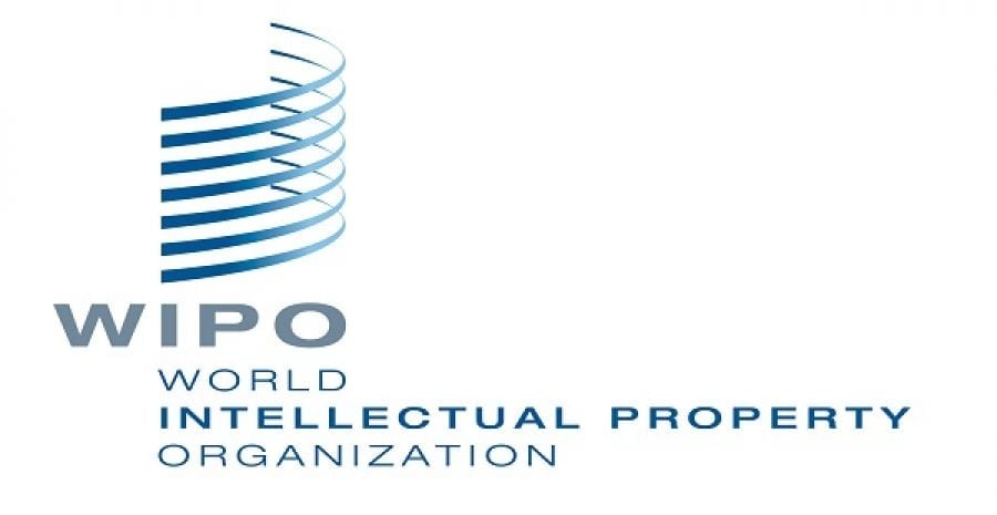 2023/2024 WIPO Training, Mentoring and Matchmaking Program on Intellectual Property for Women Entrepreneurs