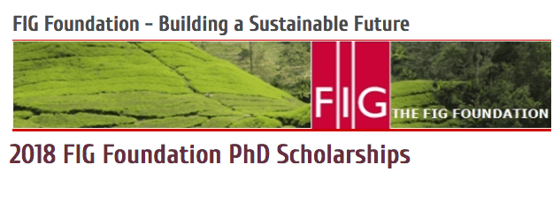 FIG Foundation PhD Scholarships 2023 for Surveying/Geomatics PhD Candidates (4,000 euros grant)