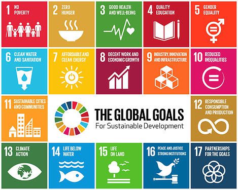 UN SDG Action Awards 2023 for young change agents worldwide