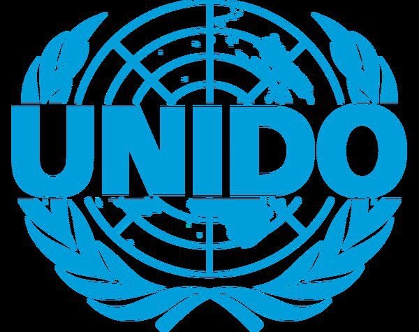 UNIDO Young Professional Program 2023 for young graduates. (Minimum Annual salary: 57,880 USD )