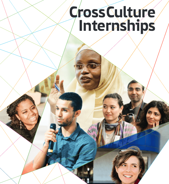 ifa CrossCulture Programme (CCP) Fellowship 2024 for young professionals (Fully Funded)