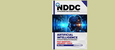 NDDC Artificial Intelligence Scholarship