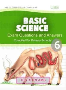 Primary 6 Basic science