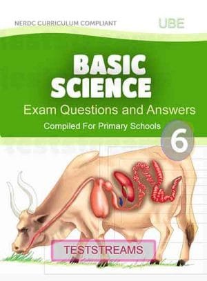 Primary 6 Basic Science Exam Questions And Answers