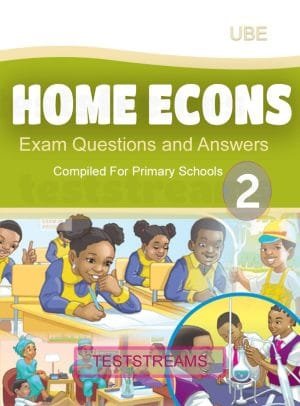 Home Economics Exam Questions And Answers For Primary 2- Pdf Download