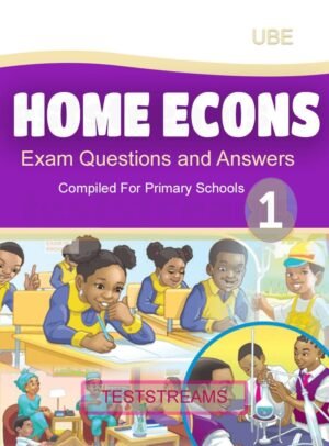 Home Economics Exam Questions And Answers For Primary 1- Pdf Download