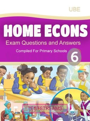 Home Economics Exam Questions and Answers for Primary 6- PDF Download