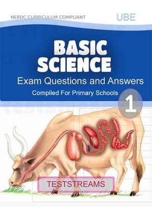 Primary 1 Basic Science And Technology Exam Questions