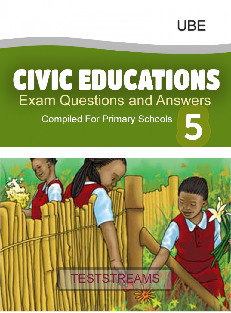 civic education topic for primary 5