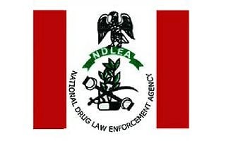 NDLEA Recruitment Past Questions and Answers - 2023 Download