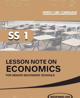 Lesson Note on ECONOMICS for SS1 MS-WORD