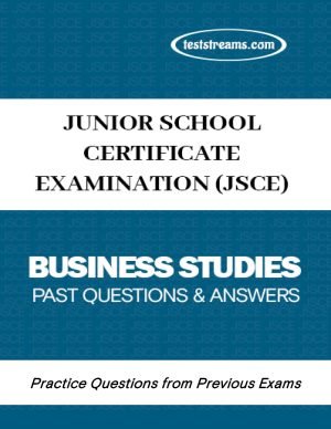 Jsce (bsce) Business Studies Practice Questions And Answers Ms-word/pdf Download