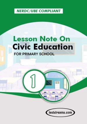 Primary 1 Lesson Note On Civic Education Ms-word/pdf Download