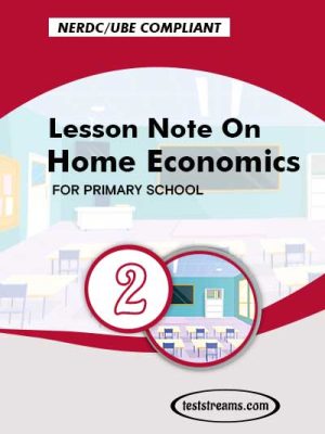 Primary 2 Lesson note On Home Economics MS-WORD/PDF Download