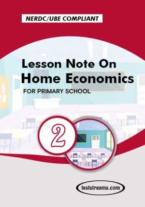 Primary 2 Lesson Note On Home Economics Ms-word/pdf Download