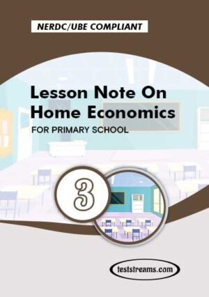 Primary 3 Lesson Note On Home Economics- Pdf Download