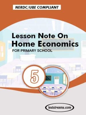 Primary 5 Lesson note On Home Economics MS-WORD/PDF Download