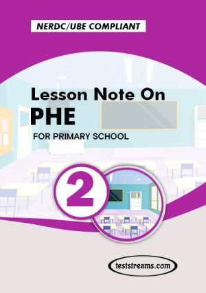 Primary 2 Lesson Note On Phe Ms-word/pdf Download