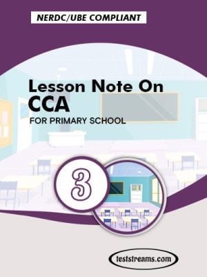 Primary 3 Lesson note On Cultural and Creative Arts