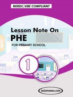 Primary 1 Lesson note On PHE