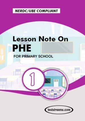 Primary 1 Lesson Note On Phe Ms-word/pdf Download