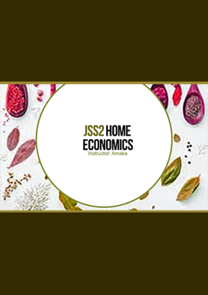 Jss2 Home Economic Video Lessons | First Term