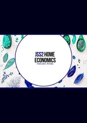 Jss2 Home Economic Video Lesson | Third Term