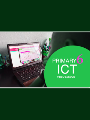 Primary 5 Computer Video Lesson | Third Term (Copy)