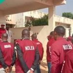 How to Prepare for NDLEA Recruitment Test